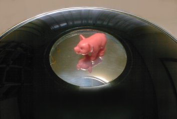 MiragePig