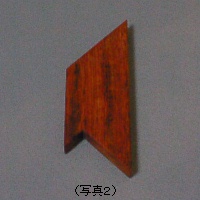 T-Pizzle�i�ʐ^�Q�j